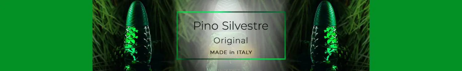 Pino Silvestre