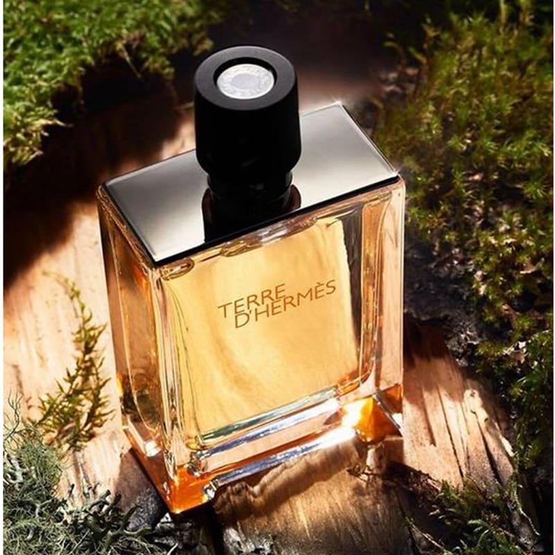 Hermes Terre D'Hermes edt 50ml Hombre