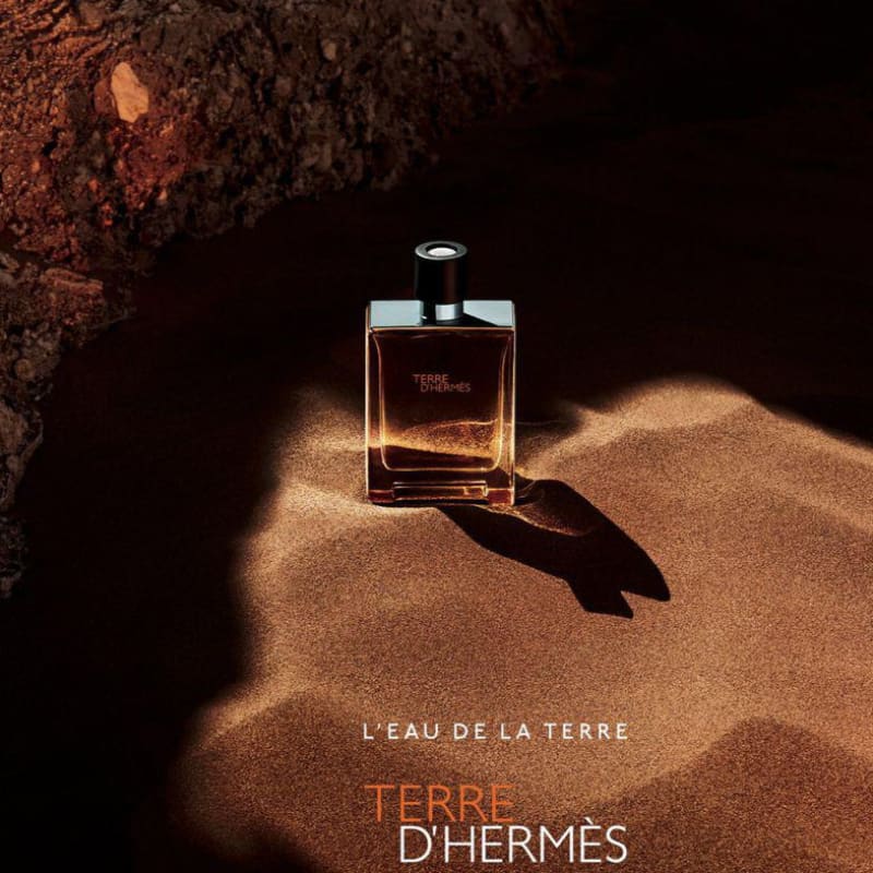 Hermes Terre D'Hermes edt 50ml Hombre