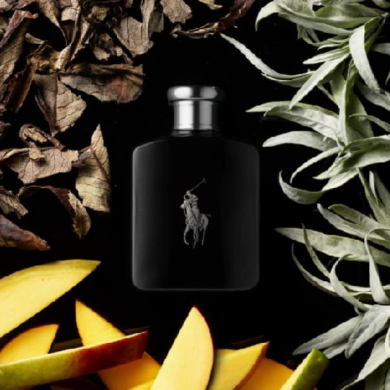 Ralph Lauren Polo Black edt 125ml Hombre